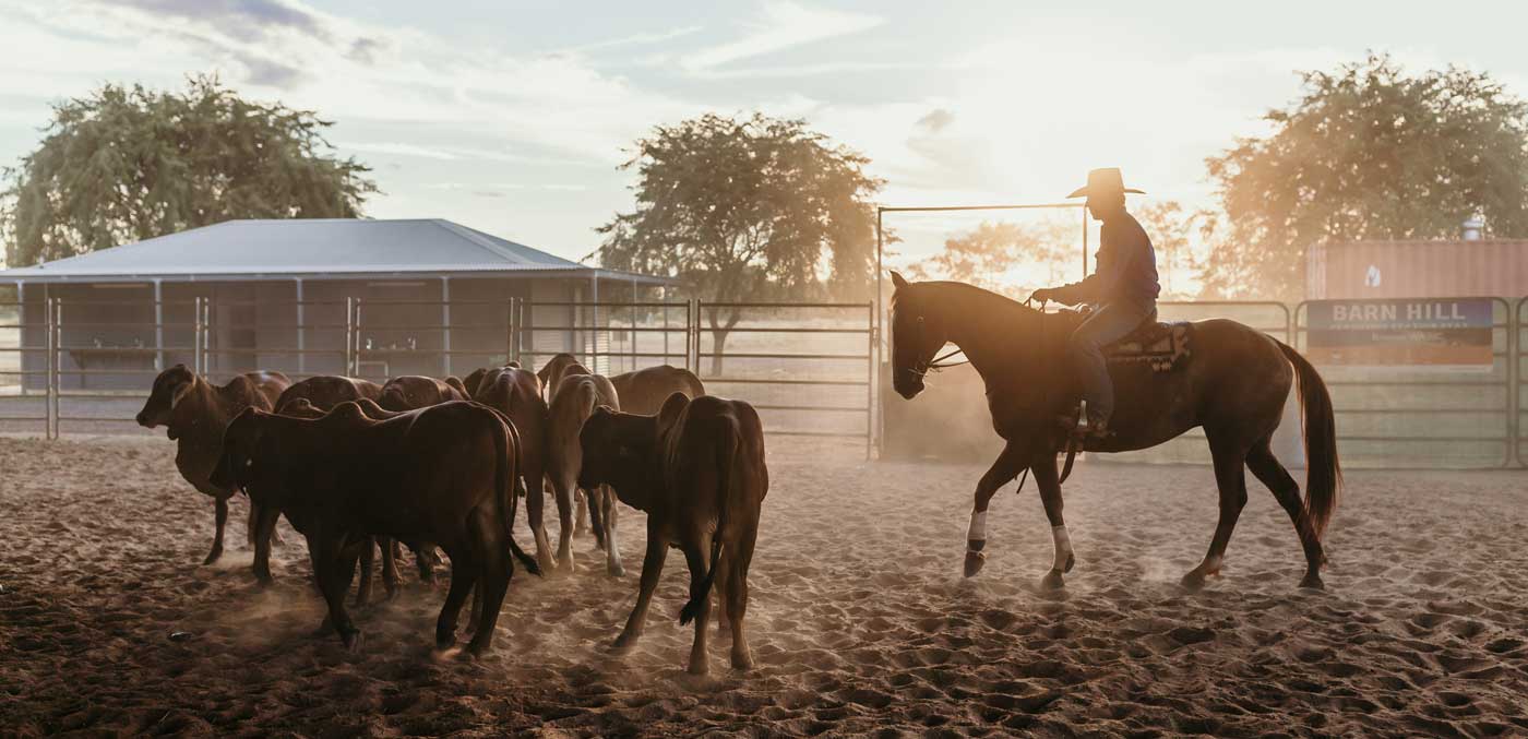 Katherine Outback Experiences