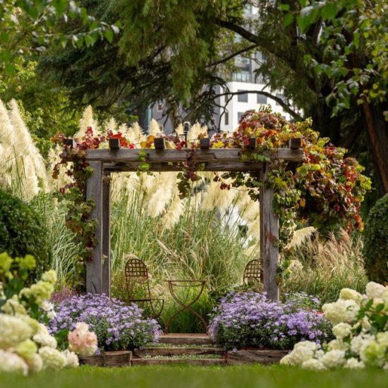 More Than Meets the Eye by Warner Nurseries and Robert Boyle
