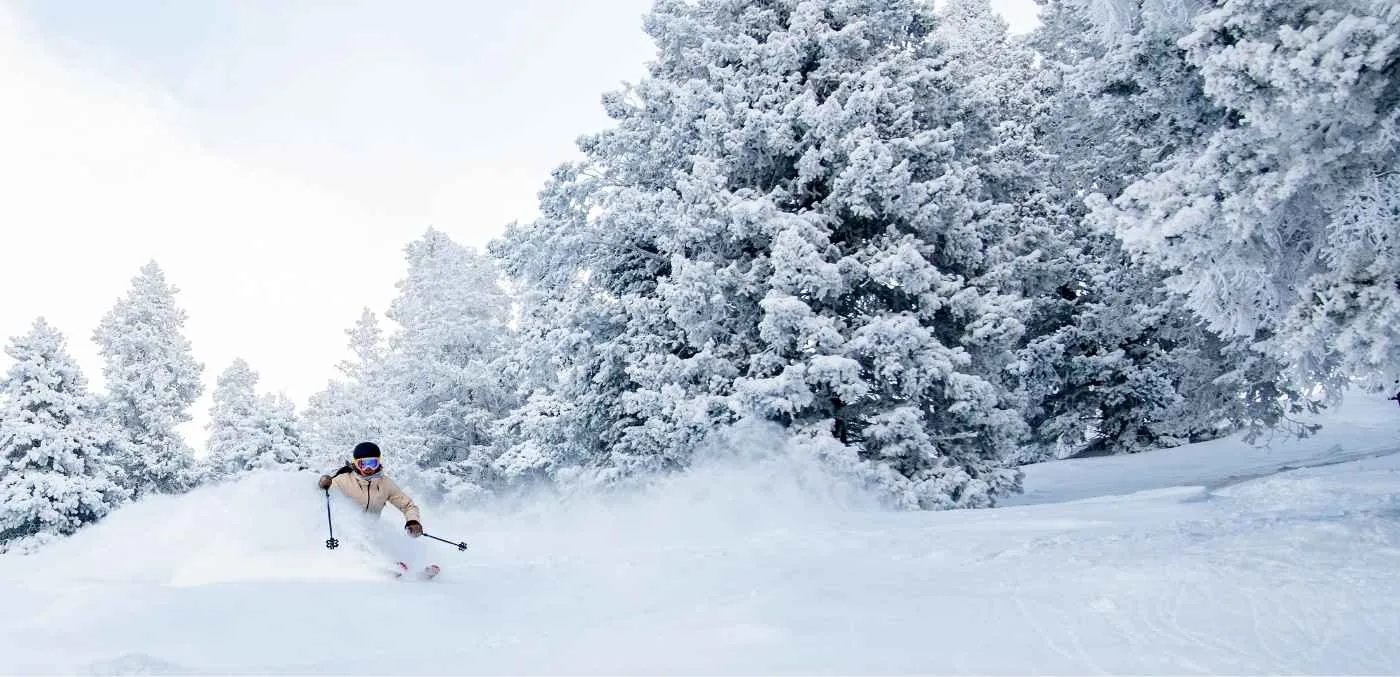 Image courtesy of Mogul Ski