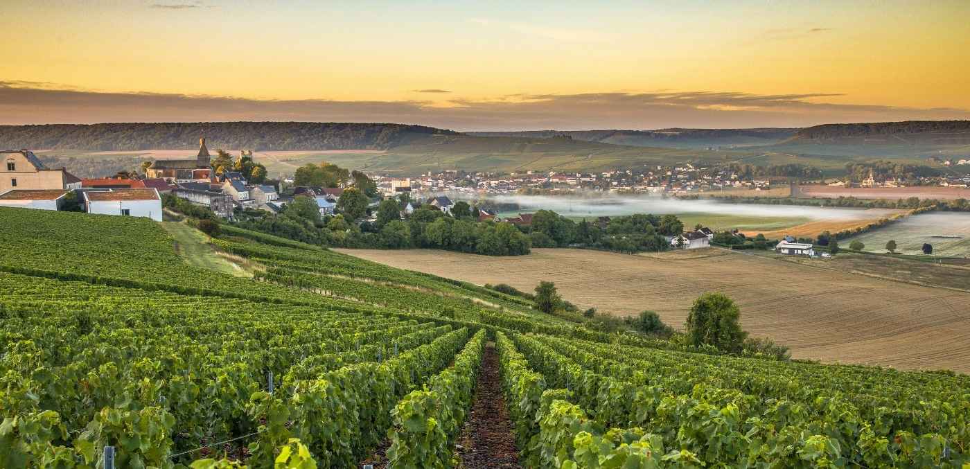 view over champagne in france