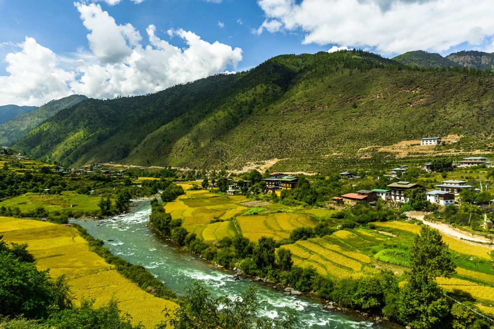 beautiful paddy fields in bhutan paro kingdom