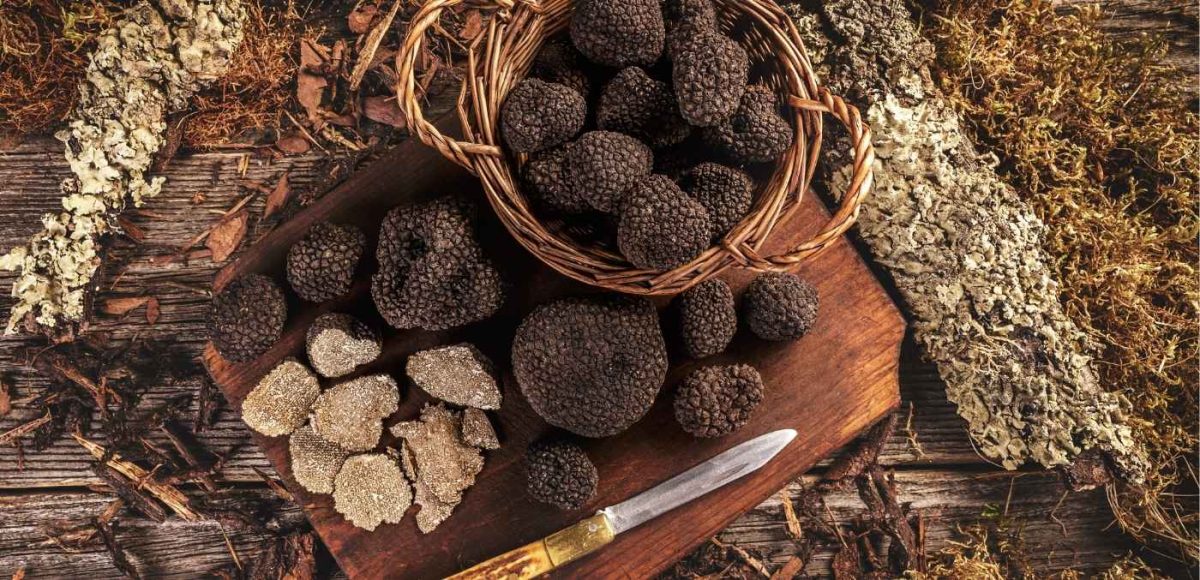 black winter truffles in a basket