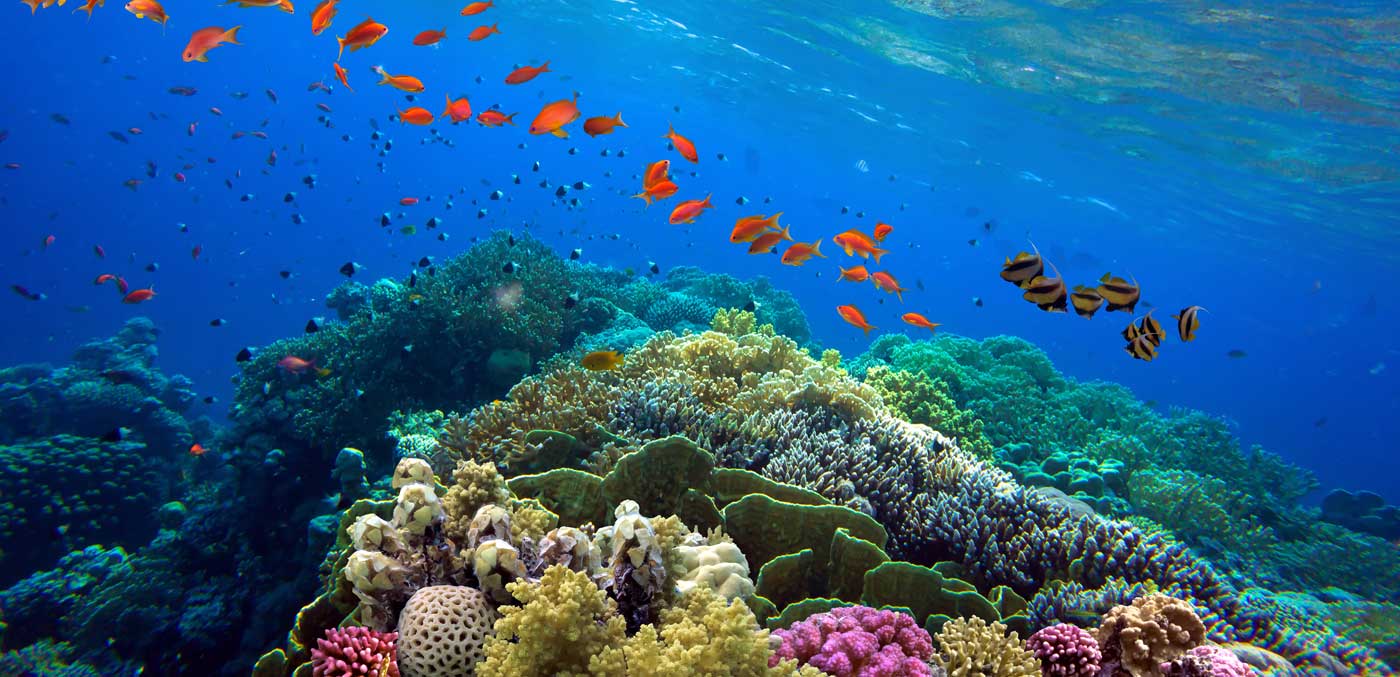Great Barrier Reef