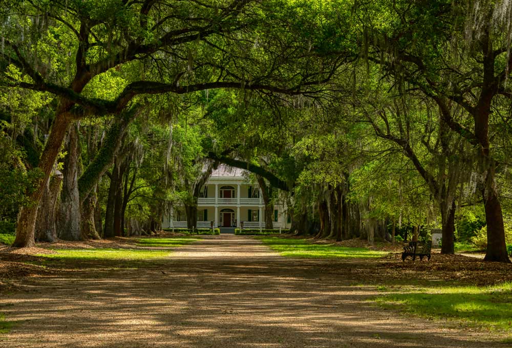 Rosedown Plantation