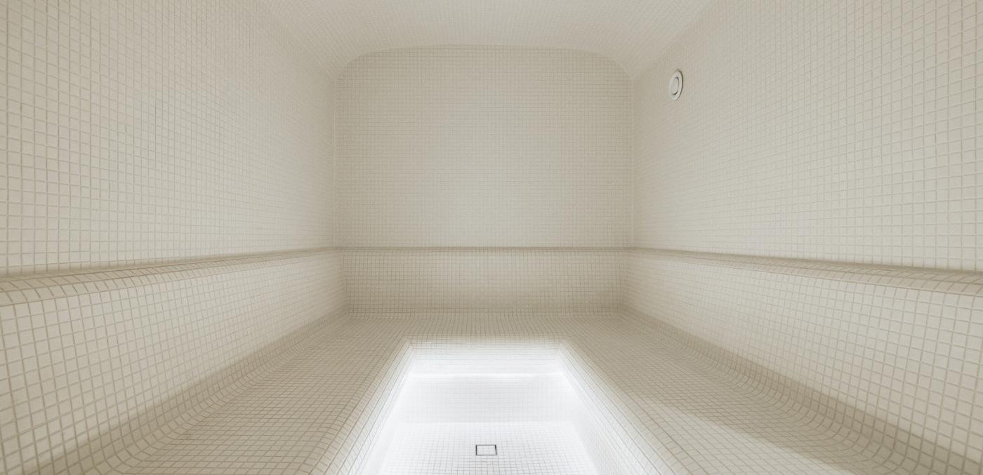 Aqua Ignis Steam Room