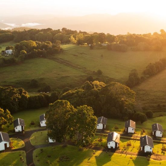 Beechmont Estate