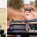 spotting a rhino from a safari vehicle