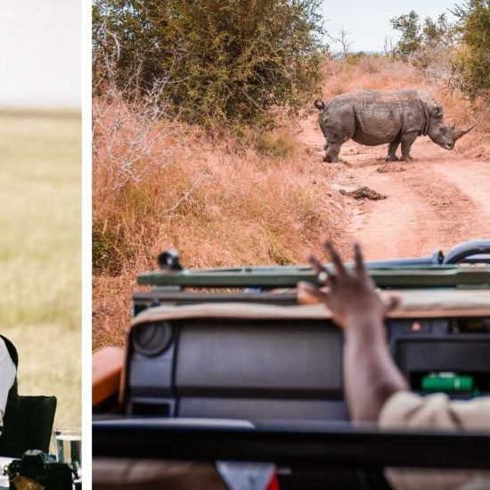 spotting a rhino from a safari vehicle
