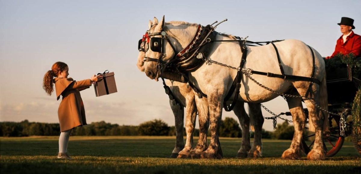 a girl handing a gift to two horses
