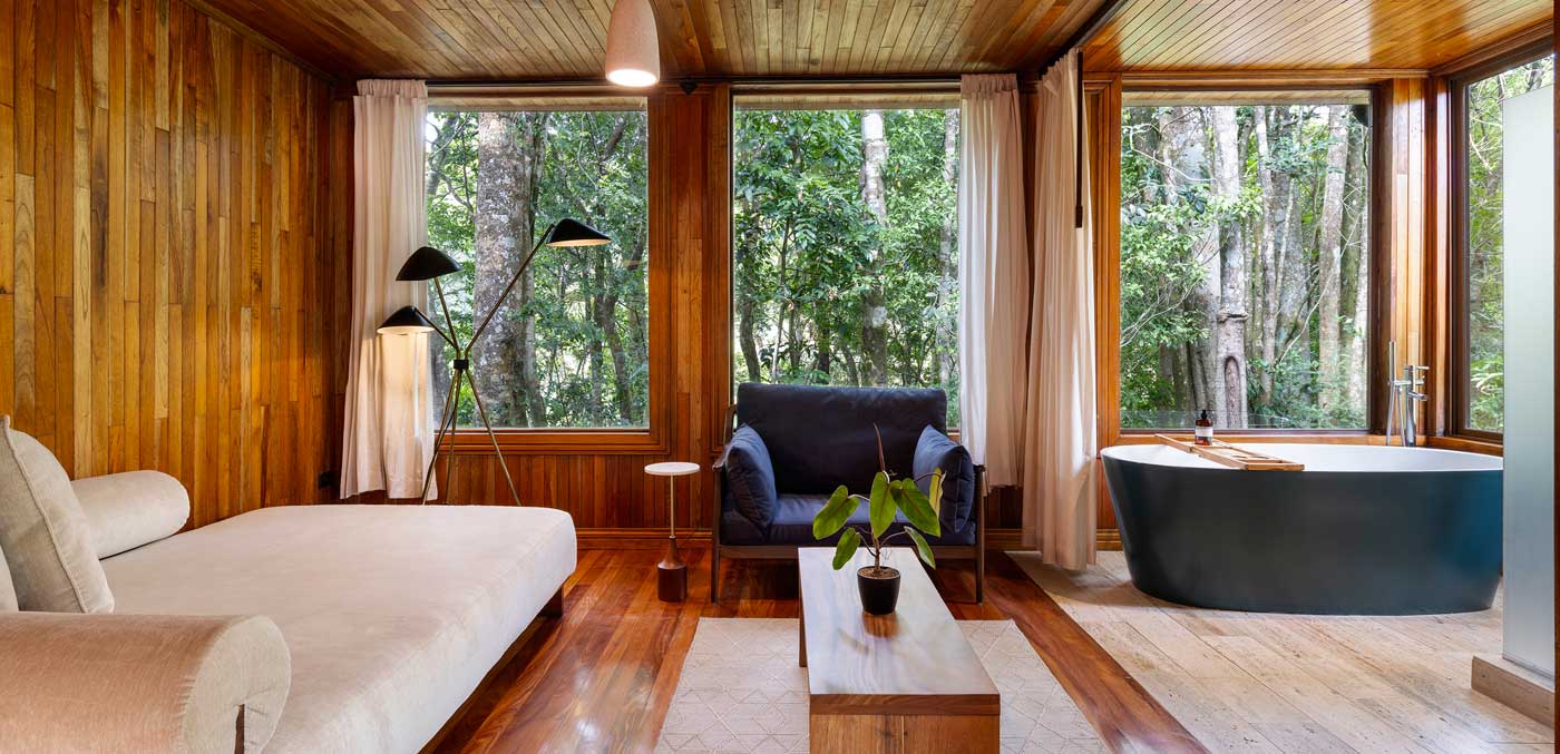 Cloud Forest Studio at Hotel Belmar
