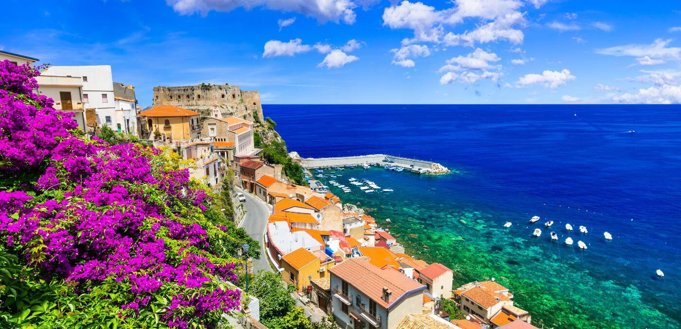 Scilla calabria