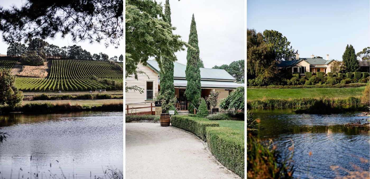 The historic estate overlooks the verdant vineyards of Josef Chromy Wines