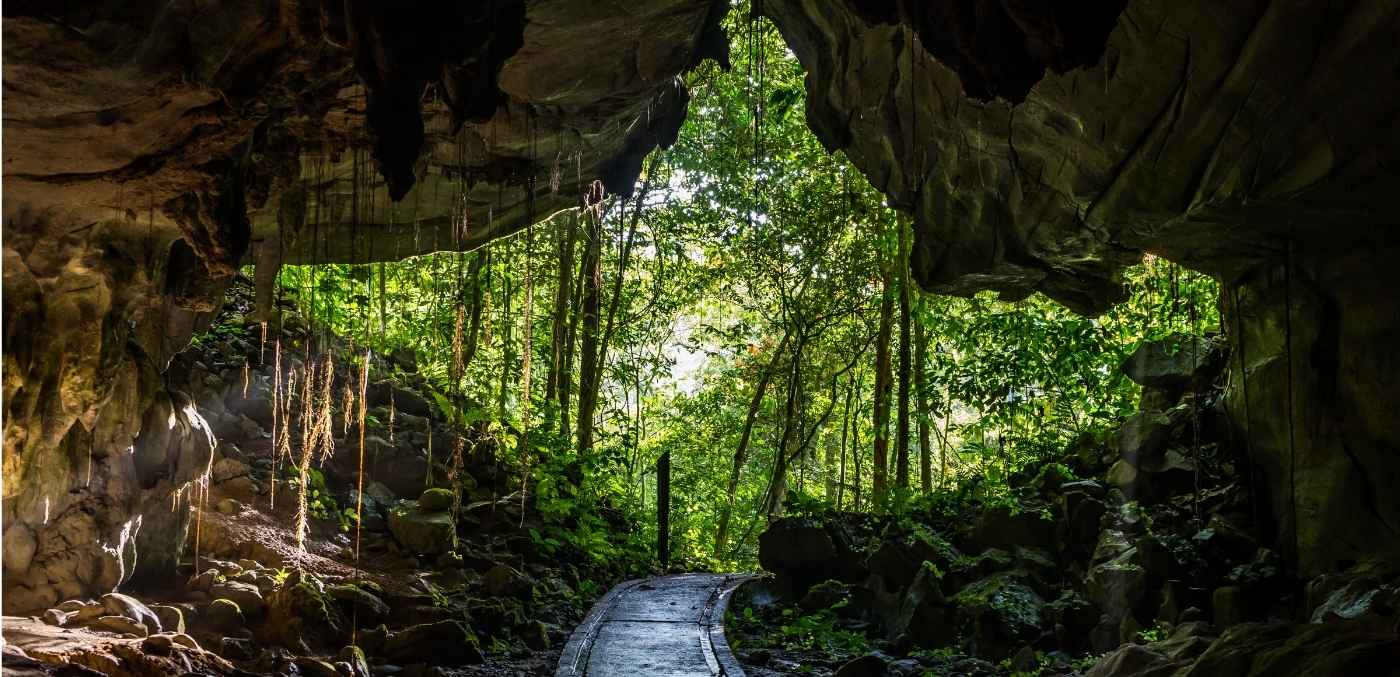 Mulu National Park