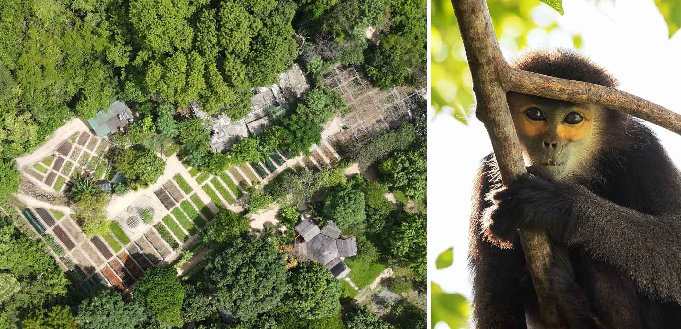 Organic garden and wildlife at Six Senses Ninh Van Bay
