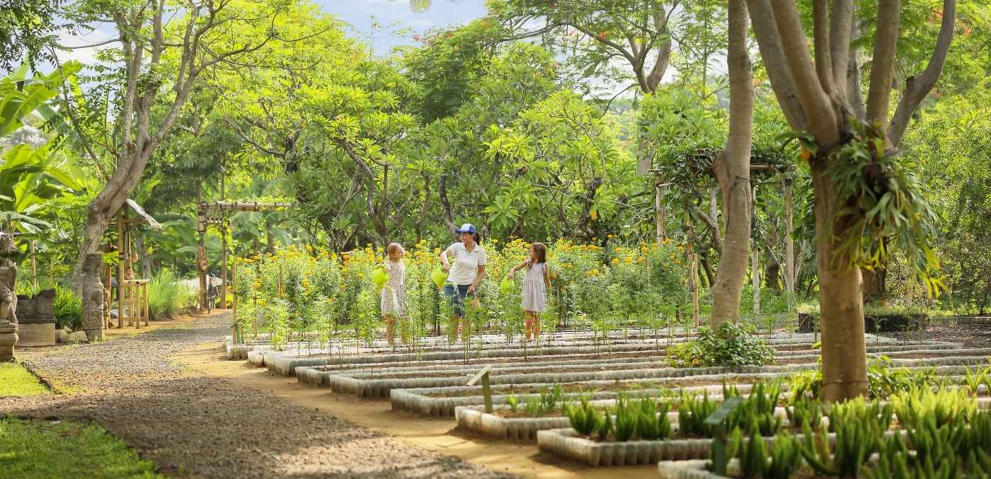 childrens garden