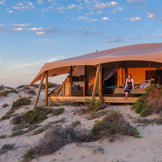 Reef Tent Sal Salis Ningaloo Reef
