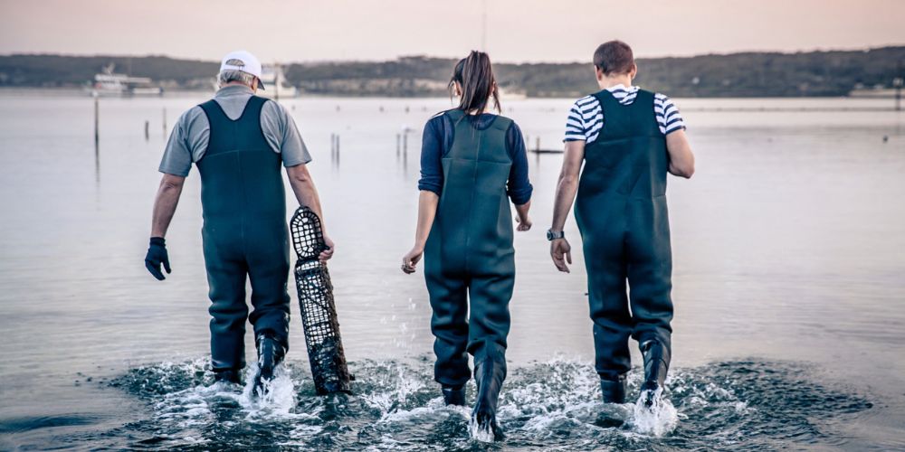 Oyster experiences in Coffin Bay, South Australia