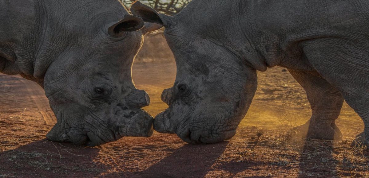 ethical travel experiences