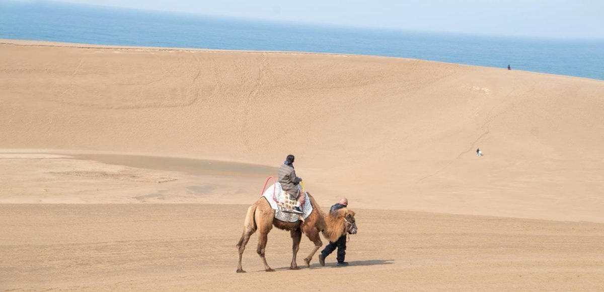 Tottori Sand Dunes