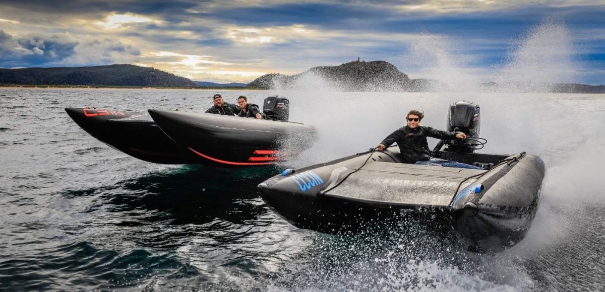 Castle Rock Carbon Cat