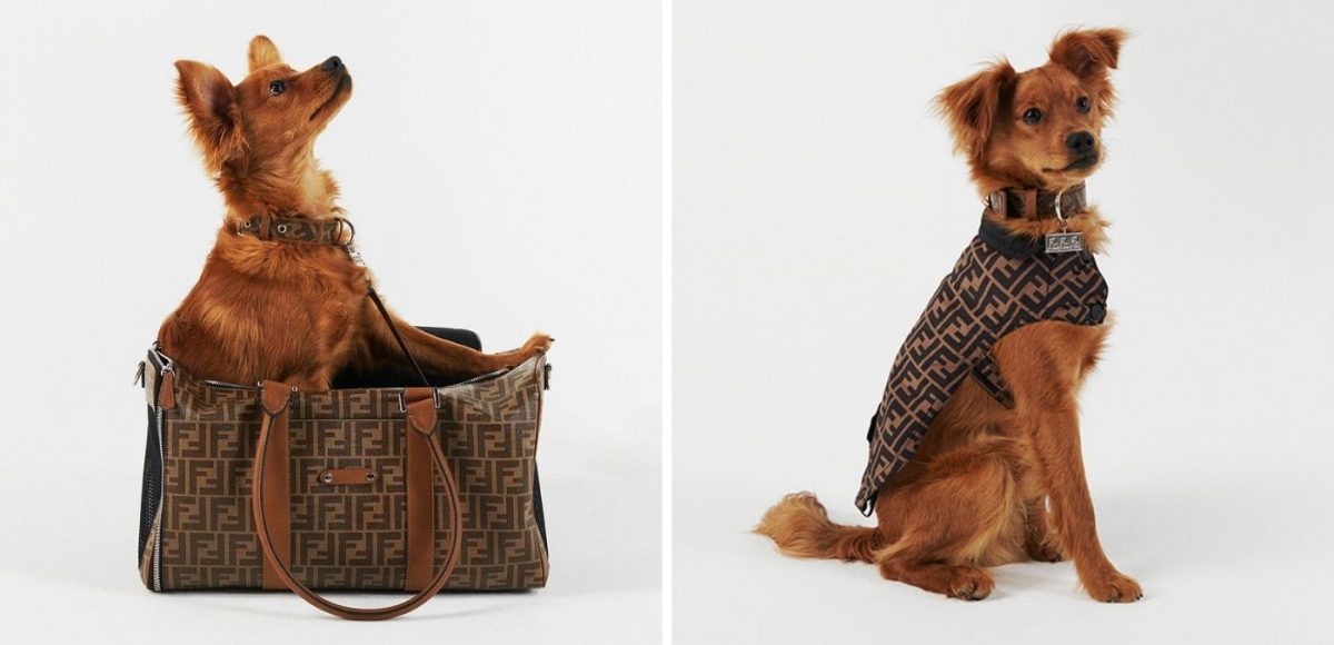 Fendi pet travel line