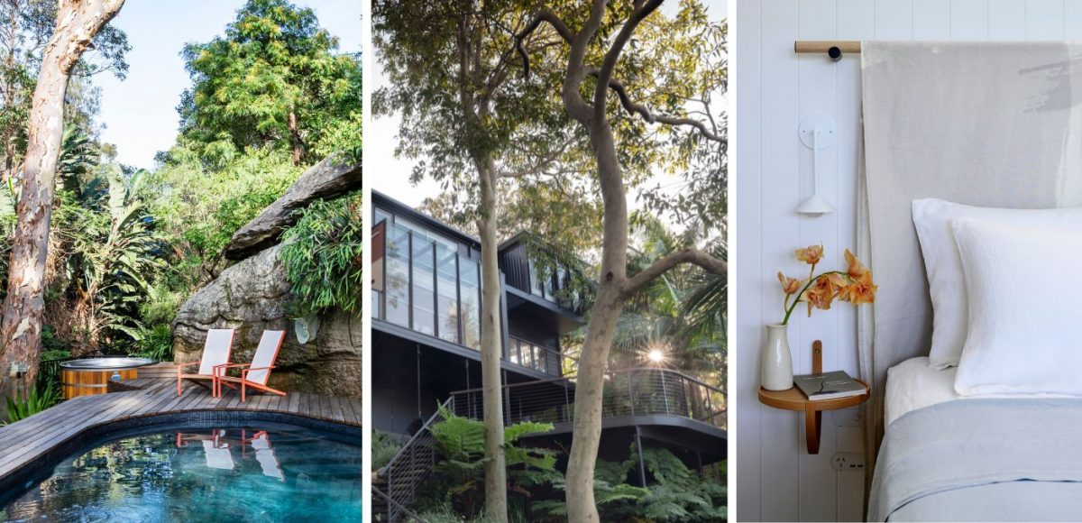 Wild Luxury wellness package